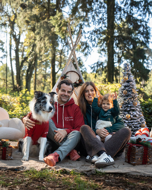 MERRY WOOFMAS Pet Hoodie 