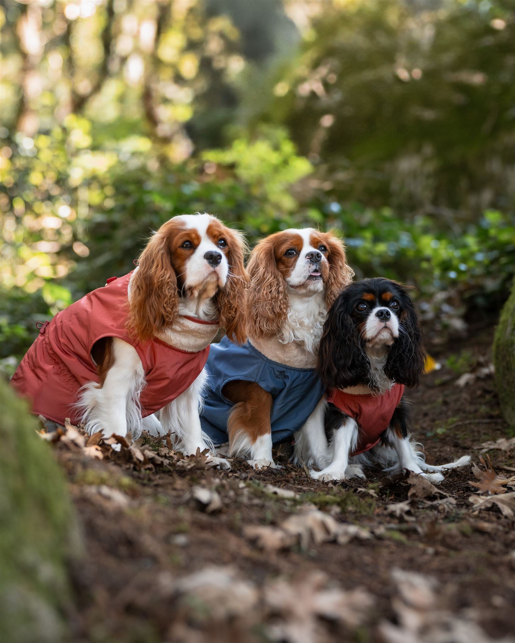 Chaquetas de lluvia