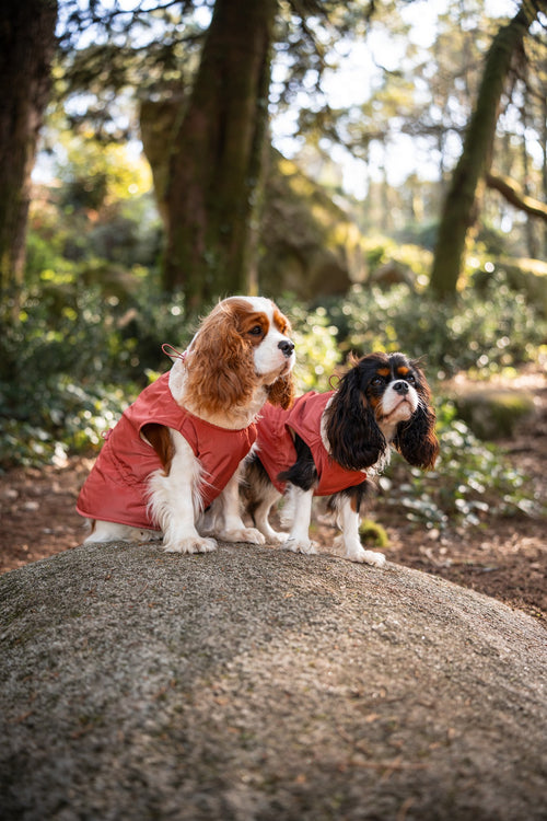 Chaquetas de lluvia