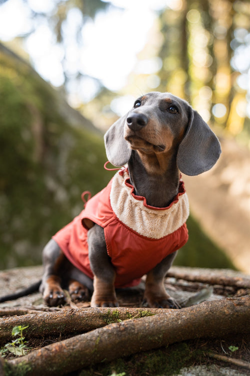 Chaquetas de lluvia