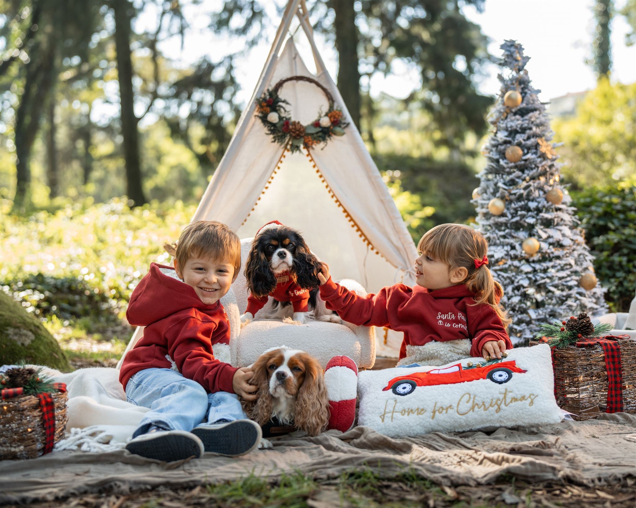 Sudadera con capucha para mascotas MERRY WOOFMAS 