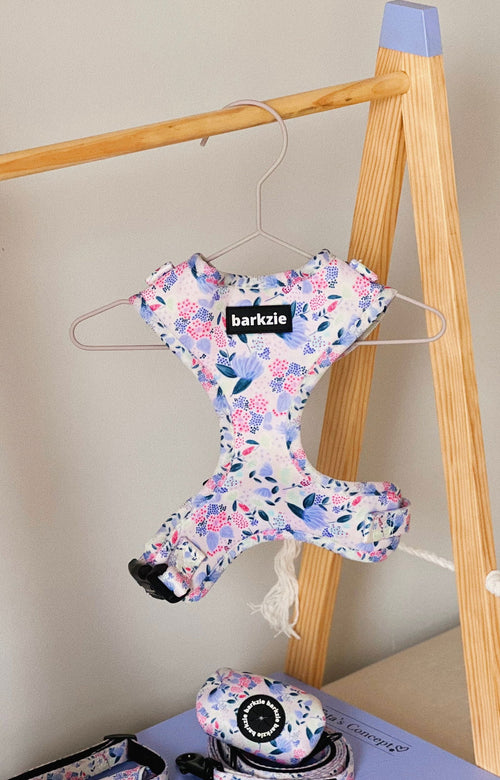 Peitorais - Tata's Concept ®️