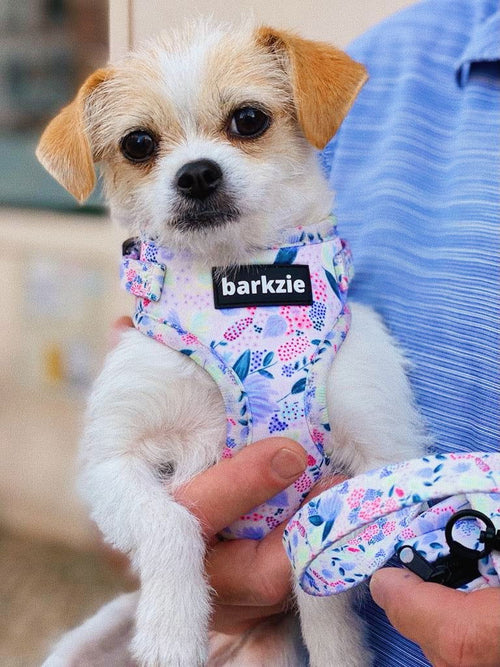 Peitorais - Tata's Concept ®️