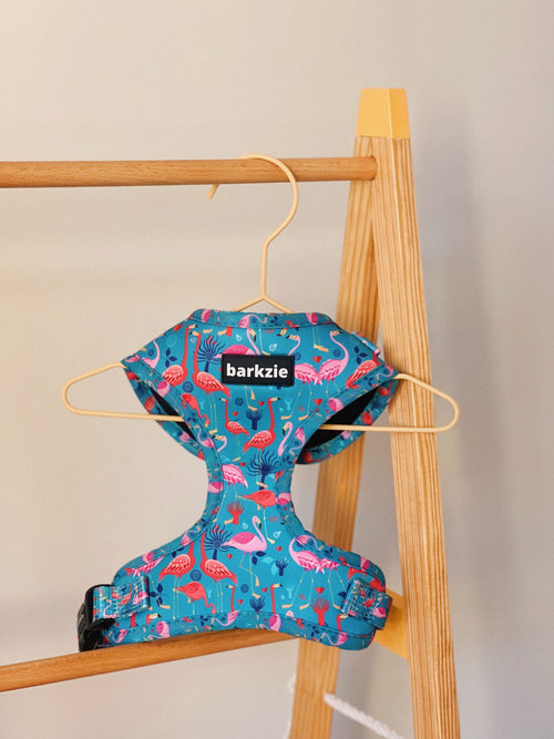 Peitorais - Tata's Concept ®️