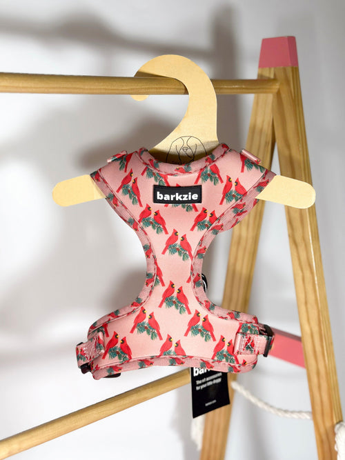 Peitorais - Tata's Concept ®️