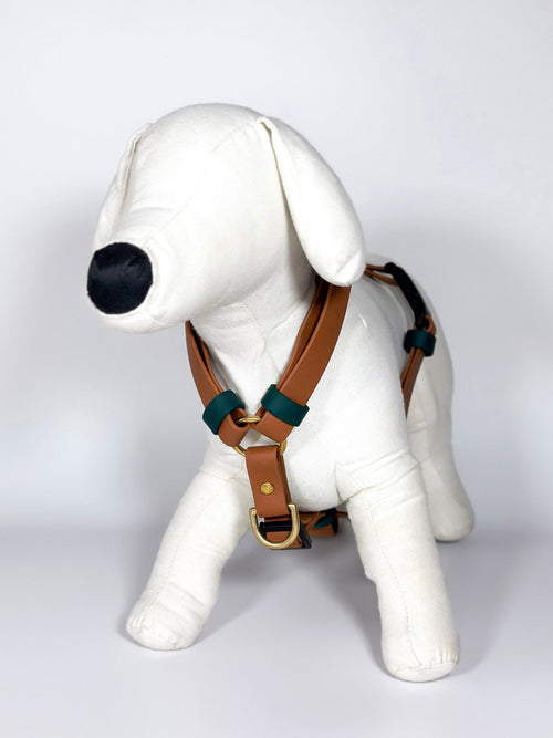 Peitorais - Tata's Concept ®️