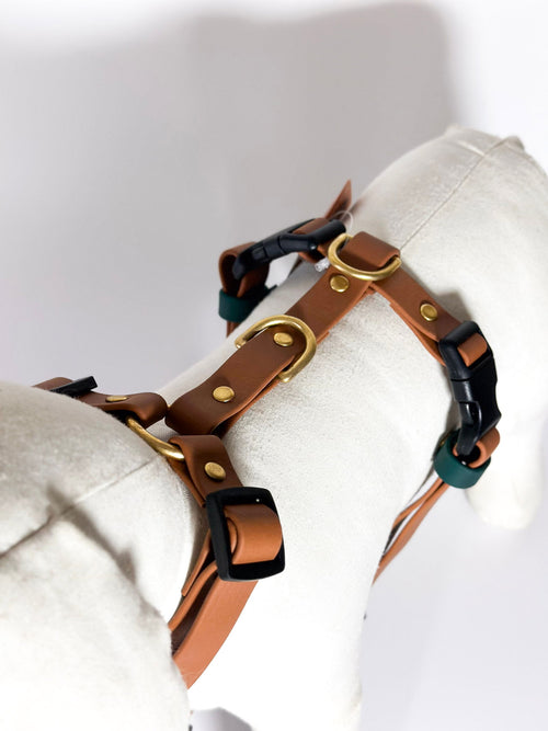 Peitorais - Tata's Concept ®️