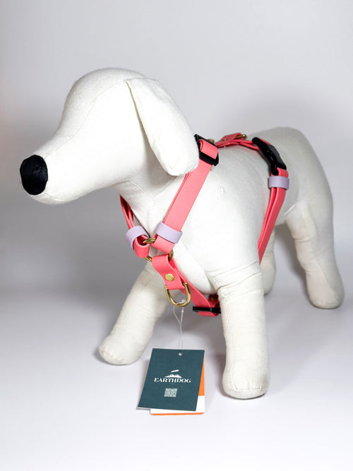 Peitorais - Tata's Concept ®️