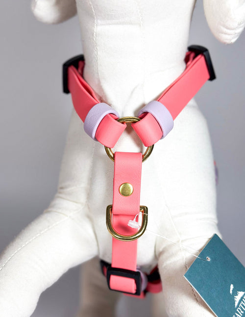 Peitorais - Tata's Concept ®️