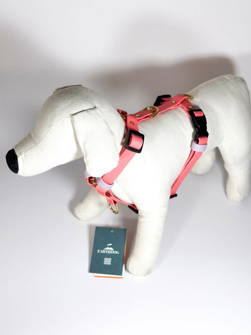 Peitorais - Tata's Concept ®️