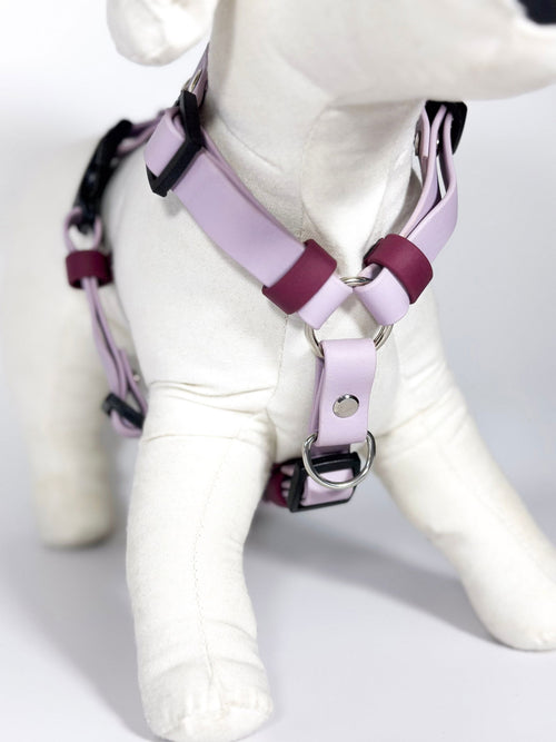 Peitorais - Tata's Concept ®️