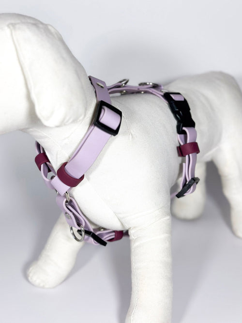 Peitorais - Tata's Concept ®️