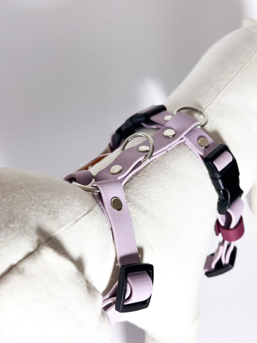 Peitorais - Tata's Concept ®️