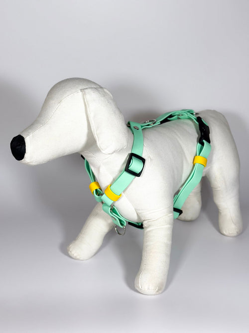 Peitorais - Tata's Concept ®️