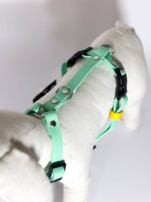 Peitorais - Tata's Concept ®️