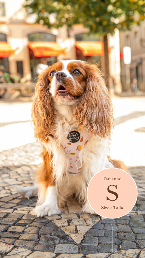 Peitoral Portugal Lover - Tata's Concept ®️