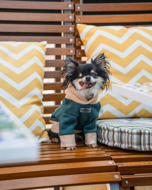 Pet Hoodie - Tata's Concept ®️