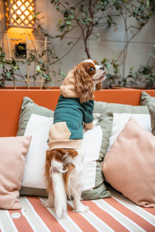 Pet Hoodie - Tata's Concept ®️