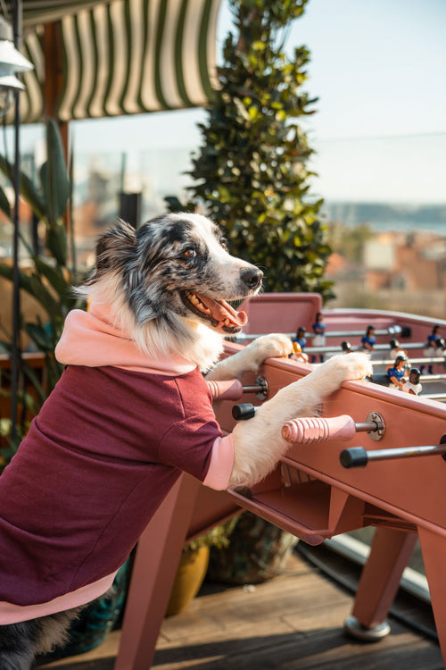 Pet Hoodie - Tata's Concept ®️