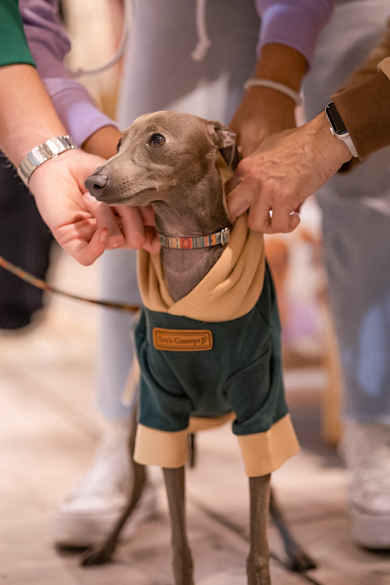 Pet Hoodie I WOOF YOU 