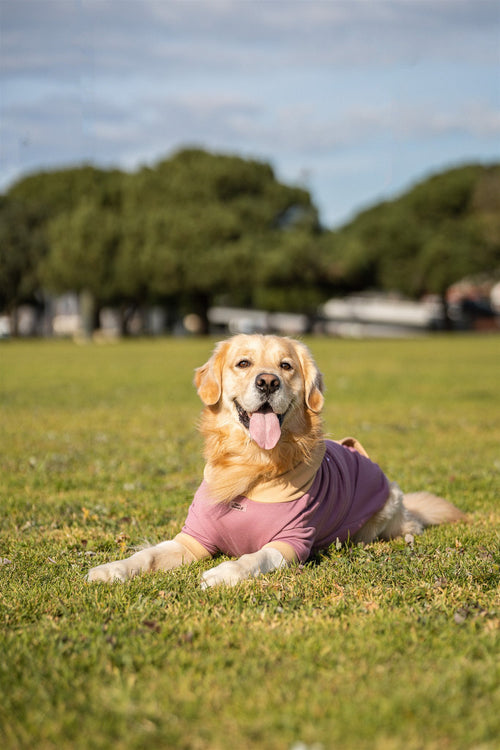 Pet Hoodie I WOOF YOU - Tata's Concept ®️
