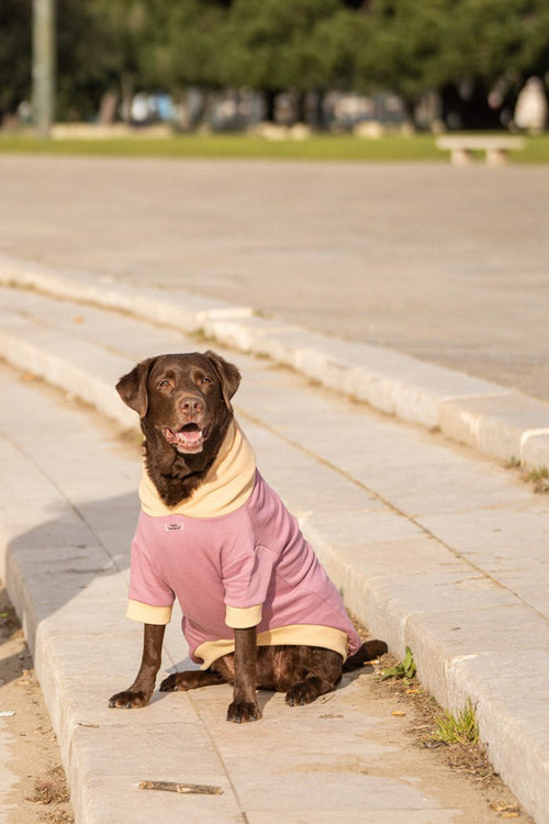 Pet Hoodie I WOOF YOU - Tata's Concept ®️