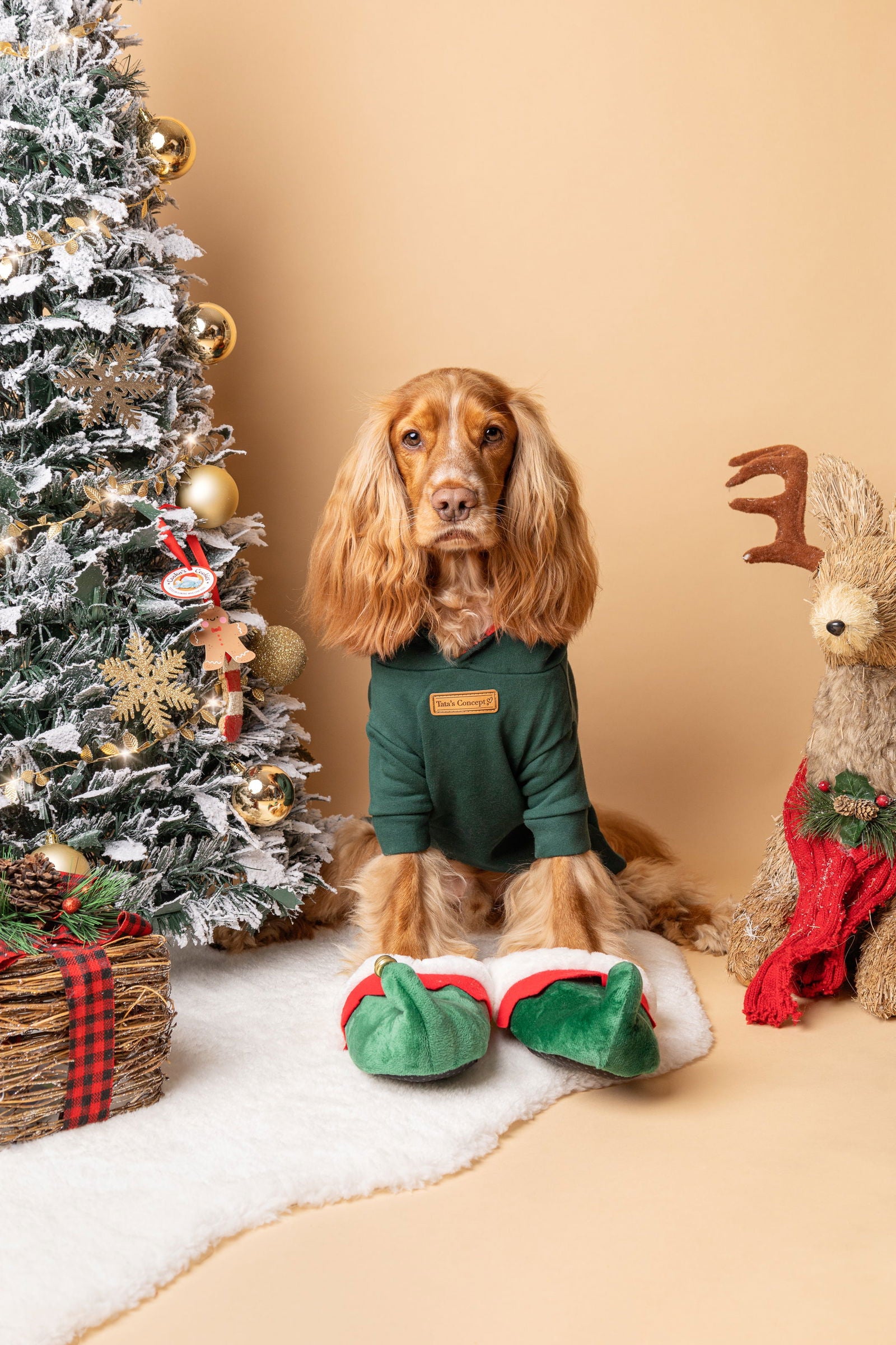 Pet Hoodie MERRY WOOFMAS - Tata's Concept ®️