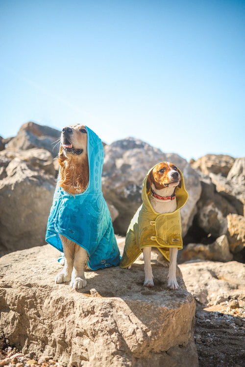 Ponchos ☀️🛁 - Tata's Concept ®️