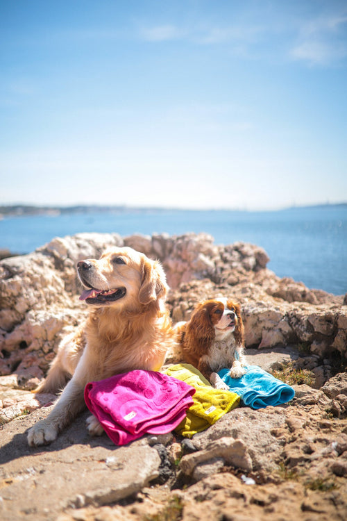 Ponchos ☀️🛁 - Tata's Concept ®️