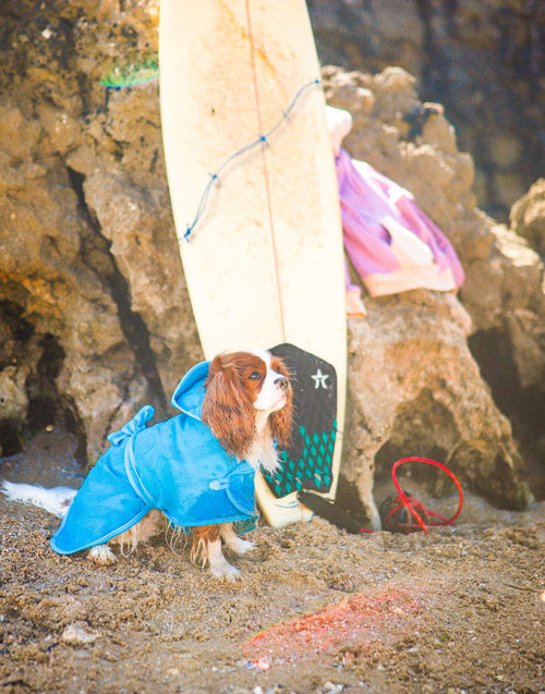 Ponchos ☀️🛁 - Tata's Concept ®️