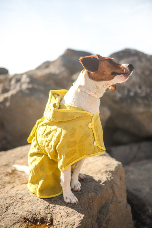 Ponchos ☀️🛁 - Tata's Concept ®️