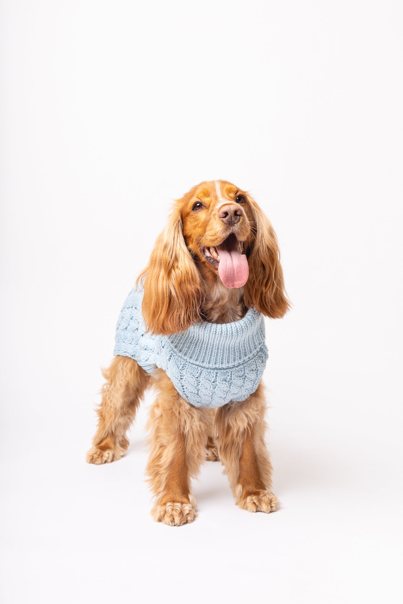 Pullover Turquesa