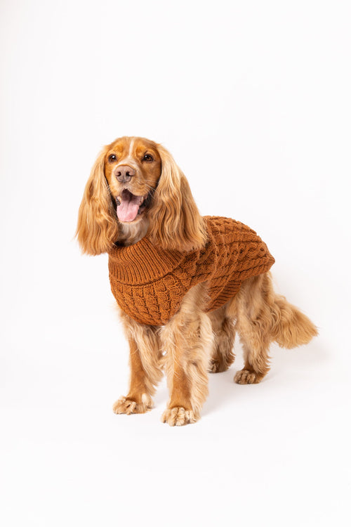 Pullovers - Tata's Concept ®️