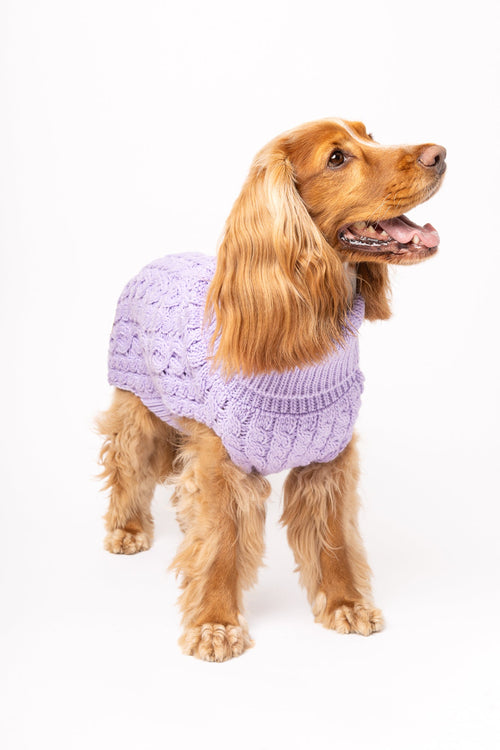 Pullovers - Tata's Concept ®️