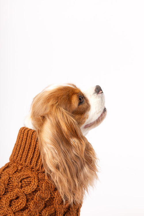 Pullovers - Tata's Concept ®️