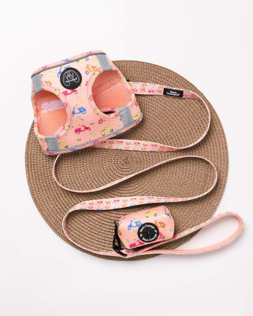 Pack Body Ciao Bella