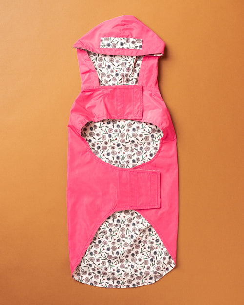 Gabardina con capucha