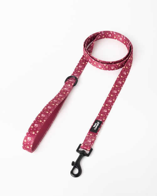 Pack Coleira Palmier Lover