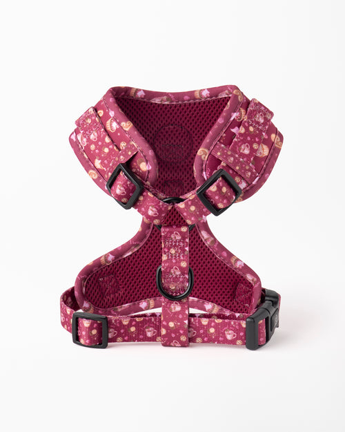 Pack Peitoral Palmier Lover