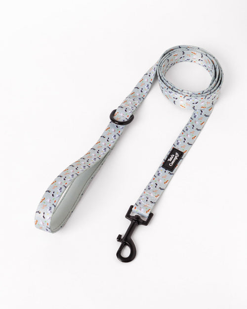 Trela Puppy Lover - Tata's Concept ®️