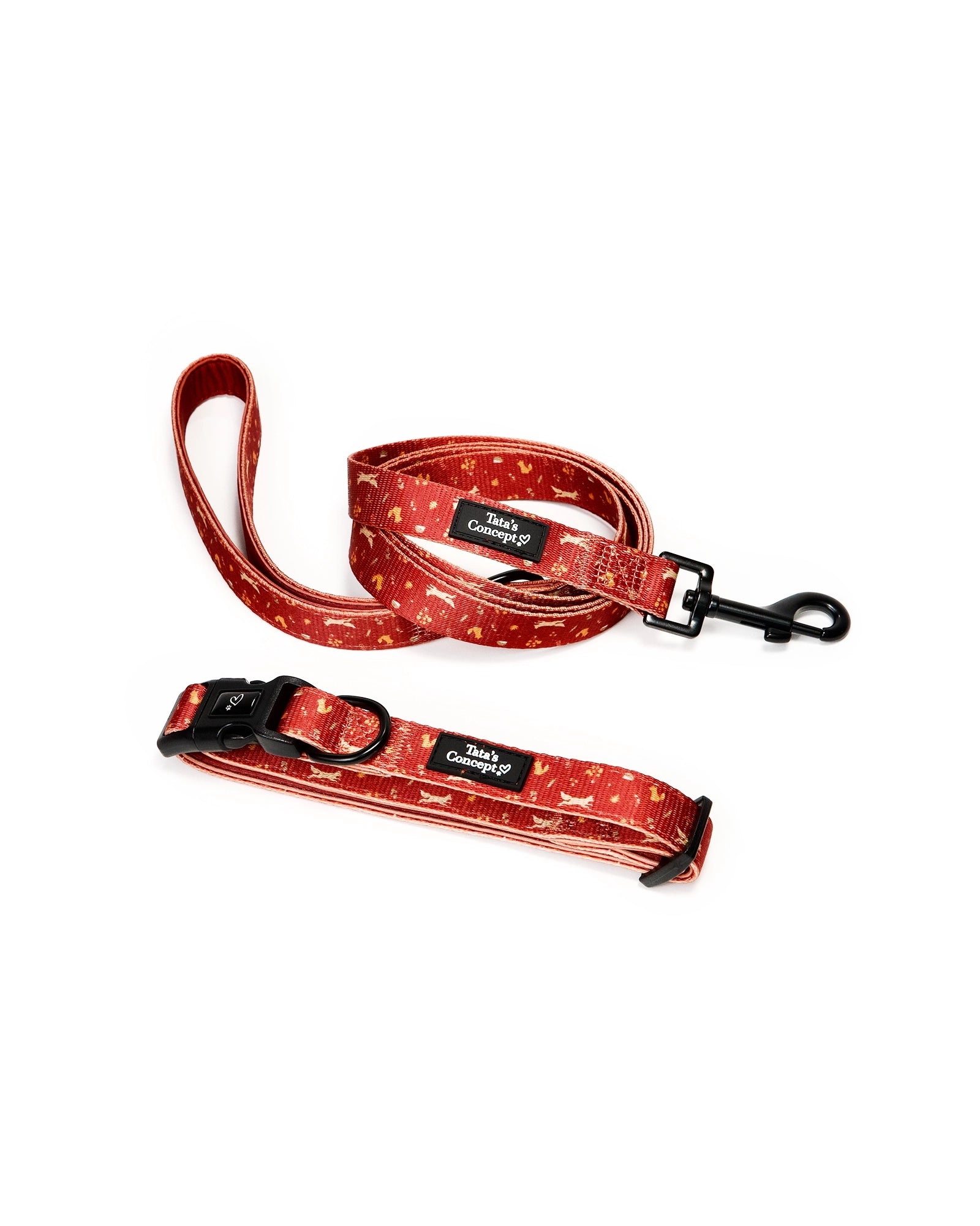 Pack Coleira Foxy Lover