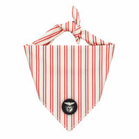 Bandana SLB Riscas