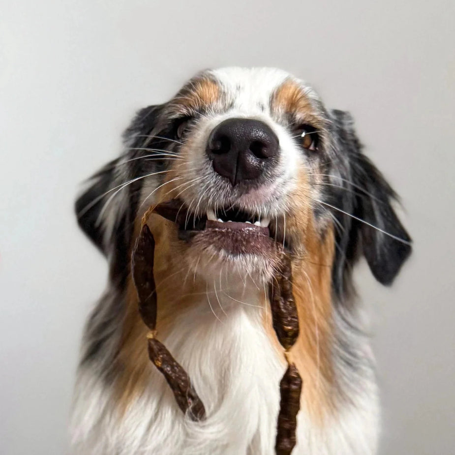 Beef Salamis Dog Snack by Cooka's Cookies