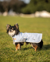 Capas Belém para Perros