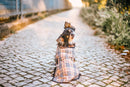 Capas Belém para cão detalhe — Tata's Concept