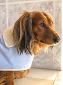 Capas Belém para cão fecho — Tata's Concept