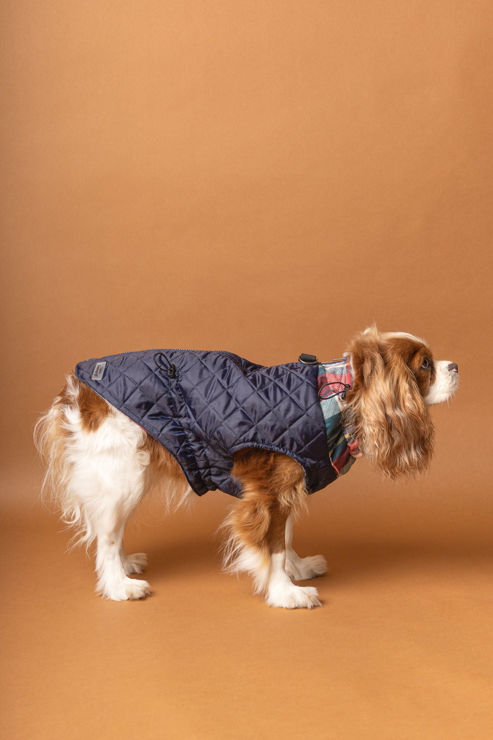 Blue Check Raincoat for Dogs