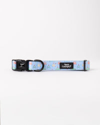 Collar Puppy Lover