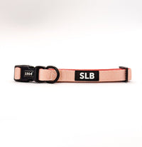 Coleira SLB Bege