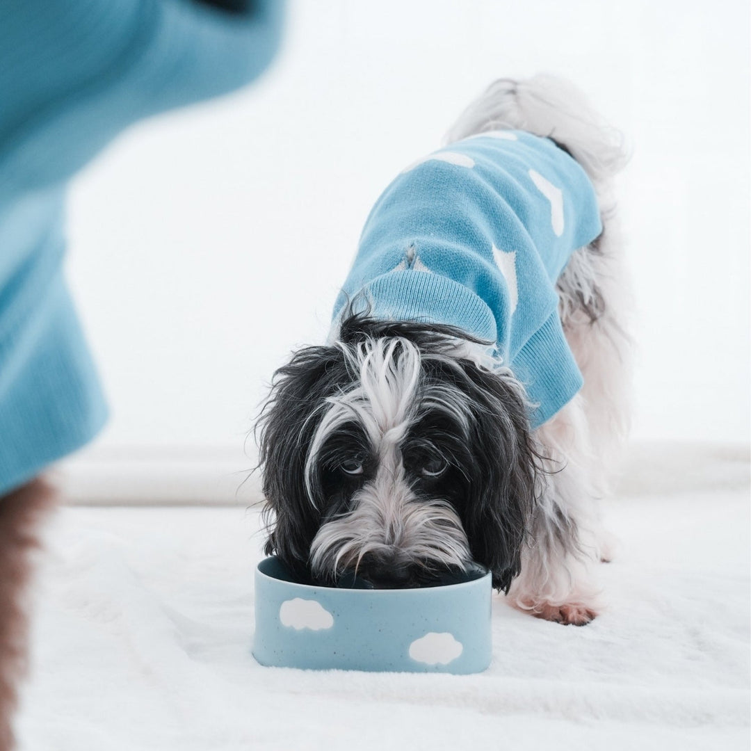 Set of 2 Pet Bowls - Cloud (14cm)